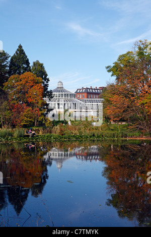 Herbst im Botanischen Garten in Kopenhagen, Dänemark. Farbige Blätter spiegelt im See, Gewächshaus im Hintergrund Stockfoto