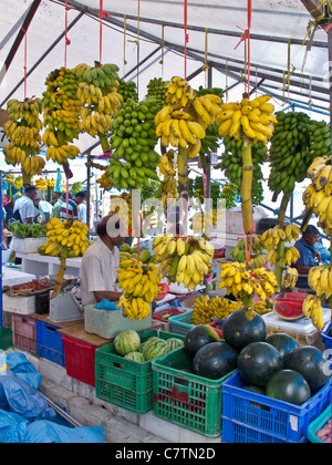 Frisches Obst-Markt in Male, Malediven Stockfoto