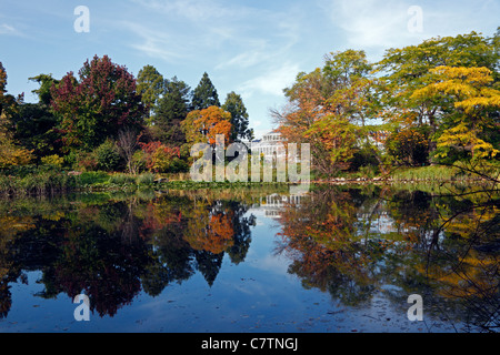 Herbst im Botanischen Garten in Kopenhagen, Dänemark. Farbige Blätter spiegelt im See, Gewächshaus im Hintergrund Stockfoto