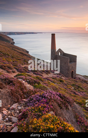 Towanroath Maschinenhaus auf rührende in der Nähe von St. Agnes, Cornwall, England. Sommer (August) 2011. Stockfoto