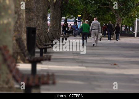 Sitzreihe und Baumstämme am Ufer der Themse mit Passanten in der Ferne Stockfoto