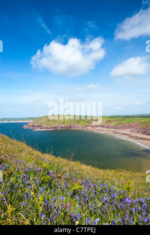 Swanlake Bay Manorbier Pembroke Pembrokeshire Wales Stockfoto