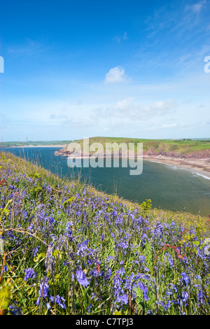 Swanlake Bay Manorbier Pembroke Pembrokeshire Wales Stockfoto