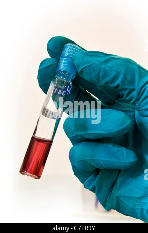 Nahaufnahme der Hand des Wissenschaftlers mit Reagenzglas Stockfoto