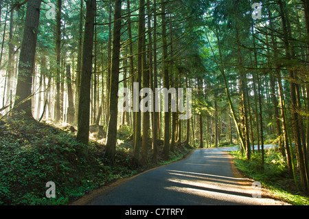 Ecola State Park hat sowohl eine Fülle an wunderschönen Stränden und ist reich an Geschichte. Oregon. USA amerikanische Westküste. Stockfoto