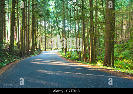 Ecola State Park hat sowohl eine Fülle an wunderschönen Stränden und ist reich an Geschichte. Oregon. USA amerikanische Westküste. Stockfoto