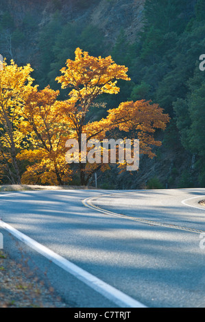 US-199 trägt der Redwood Highway von US 101 nördlich von Crescent City an der Interstate 5 in Grants Pass, Oregon. Stockfoto