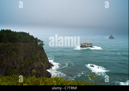 Ein beliebter Campingplatz und Tagesnutzung Bereich befindet sich Cape Lookout auf einem Sand Spucke zwischen Netarts Bucht und das Meer. Stockfoto