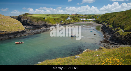 Abercastle Pembrokeshire Wales Stockfoto