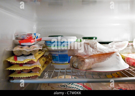 Verschiedene Lebensmittel im Kühlschrank Stockfoto