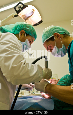 Zahnarzt und Hilfe arbeiten Stockfoto