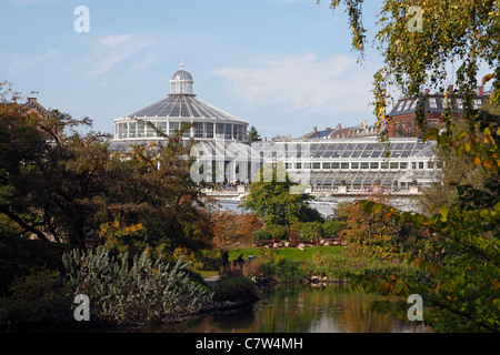 Herbst im Botanischen Garten in Kopenhagen, Dänemark. Farbige Blätter spiegelt im See, Gewächshaus im Hintergrund Stockfoto