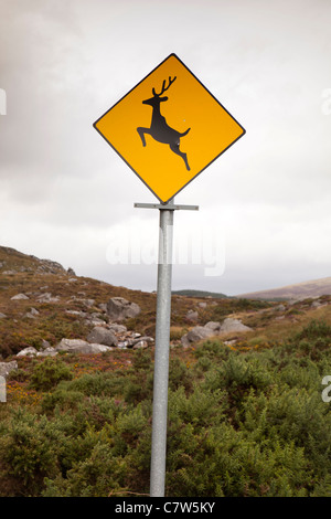 Irland, Co Wicklow, Wicklow Gap, Verkehrszeichen Warnung der Rehe und andere Wildtiere Gefahren Stockfoto