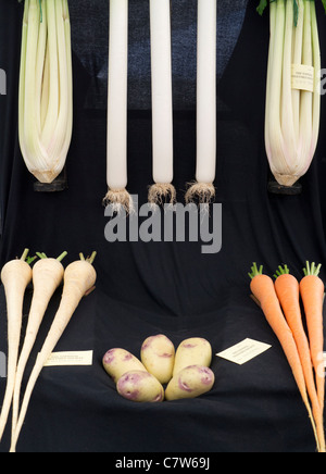Malvern Herbst Show, England - National Gemüse Society display Stockfoto