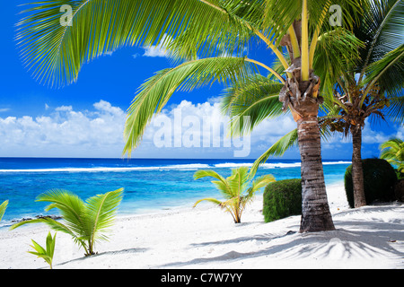 Palmen mit Blick auf erstaunliche blaue Lagune und weißen Strand Stockfoto