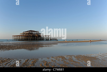 Brighton Beach und West Pier während einer sehr niedrigen Gezeiten. Stockfoto