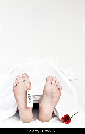 Menschliche Kadaver, Detail des Fußes mit Toe-tag Stockfoto