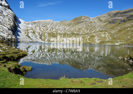 Bachalpsee-Berg-See und Reflexionen, Berner Oberland, Schweiz Stockfoto