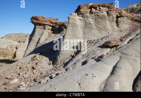 Dinosaur Provincial Park Alberta Stockfoto