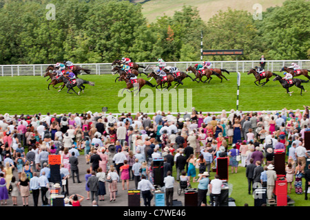 Zuschauer in Glorious Goodwood Damentag 2011 Stockfoto