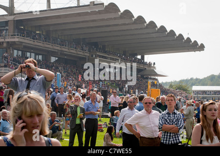 Zuschauer in Glorious Goodwood Damentag 2011 Stockfoto