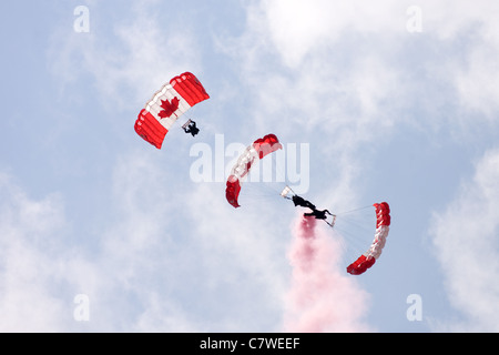 26. Juni 2011. St. Thomas Ontario Kanada. Mitglieder der kanadischen Streitkräfte Fallschirm Team, die "Skyhawks" durchführen. Stockfoto