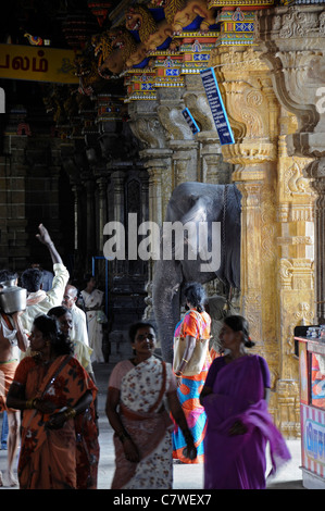 Tempel-Elefant im Inneren Perur Patteeswara Swamy Tempel Coimbatore Tamil Nadu Indien Vorsitzende Gottheit Shiva Swayambu Lingam idol Stockfoto