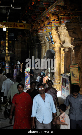 Tempel-Elefant im Inneren Perur Patteeswara Swamy Tempel Coimbatore Tamil Nadu Indien Vorsitzende Gottheit Shiva Swayambu Lingam idol Stockfoto