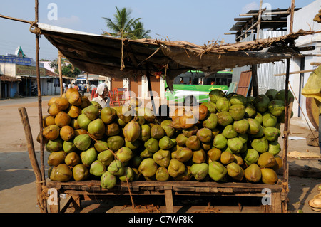Stand Stand Lebensmittel zu verkaufen, Verkauf von Kokosnüssen Perur Patteeswara Swamy Tempel Coimbatore Tamil Nadu Indien Stockfoto