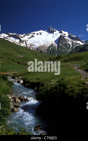 Gebirgsbach in einem alpinen Tal, Frankreich. Stockfoto