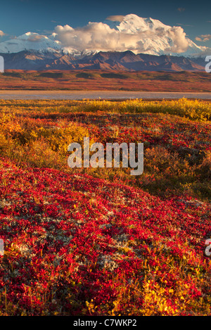 Mt. McKinley oder Denali Denali Nationalpark, Alaska. Stockfoto