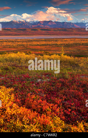 Mt. McKinley oder Denali Denali Nationalpark, Alaska. Stockfoto