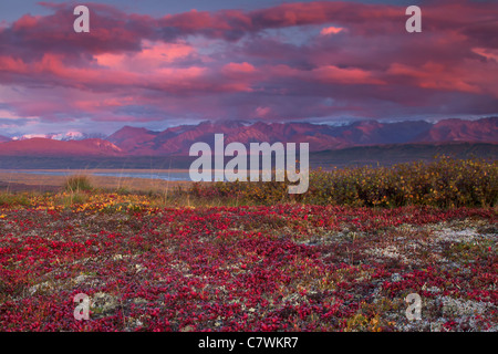 Mt. McKinley oder Denali Denali Nationalpark, Alaska. Stockfoto