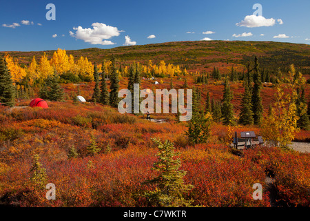 Zelten am Wonder Lake Campground, Denali Nationalpark, Alaska. Stockfoto