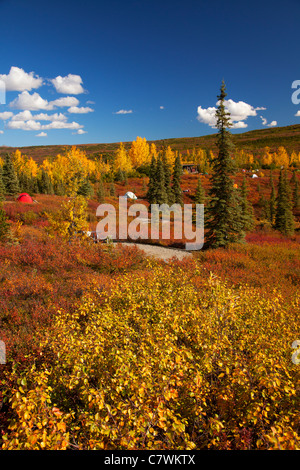 Zelten am Wonder Lake Campground, Denali Nationalpark, Alaska. Stockfoto