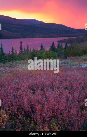 Sonnenuntergang über Wonder Lake, Denali-Nationalpark, Alaska. Stockfoto