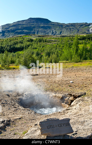 Litli Geysir im Geysir, Süd-West Island. Stockfoto