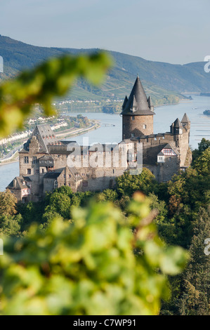 Burg Stahleck Castle vom Weinberg über Bacharach Dorf neben Rhein in Deutschland Stockfoto