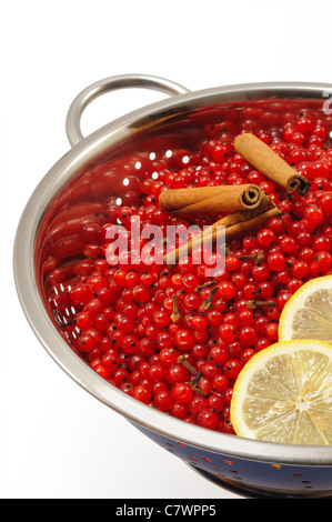Rote Johannisbeere Beeren und Zutaten zur Herstellung von Marmelade - isoliert Stockfoto