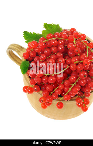 Keramische Tasse voll mit frischen roten Johannisbeeren Beeren. Von oben. Clipping-Pfad enthalten Stockfoto