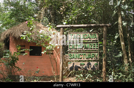 Freetown Tacugama Schimpansen-Schutzgebiet Sierra Leone Stockfoto