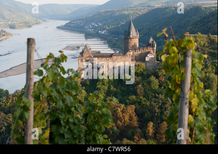 Burg Stahleck Castle vom Weinberg über Bacharach Dorf neben Rhein in Deutschland Stockfoto