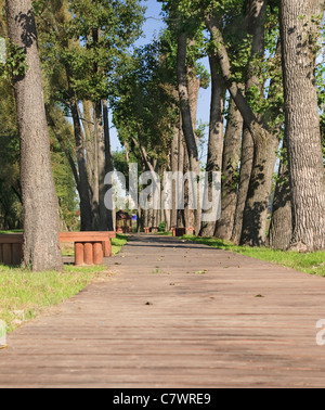 Holzsteg zwischen den Bäumen im park Stockfoto