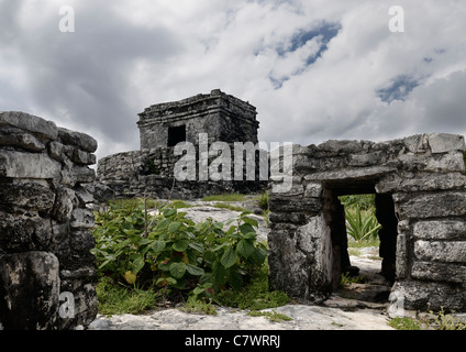 Tempel der Gott des Windes und Schrein Ruinen in Tulum Riviera Maya Mexiko Stockfoto