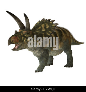 Die Coahuilaceratops Dinosaurier war ein Pflanzenfresser, die in der Kreidezeit Periode von Erden Geschichte gelebt. Stockfoto