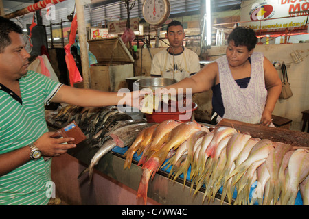 Managua Nicaragua, Mercado Roberto Huembes, Shopping Shopper Shopper Shop Shops Market Buying Selling, Store Stores Business Businesses, Vendor Vendors, s Stockfoto