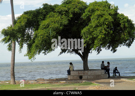 Managua Nicaragua, El Malecon, Lake Managua, Xolotlan, Waterfront, Erholungsgebiet, Baum, Baldachin, Schatten, Mann Männer Erwachsene Erwachsene, Frau Frauen, Paar, Stockfoto