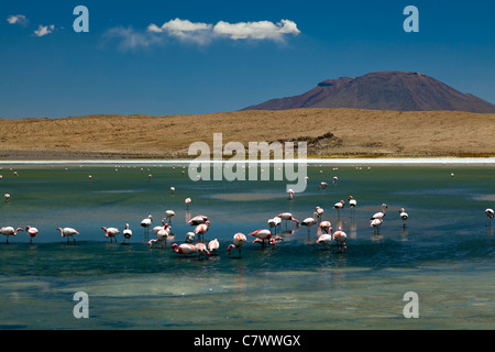 Die atemberaubende Landschaft zwischen San Pedro de Quemez und Ojo de Perdiz, Bolivien Stockfoto