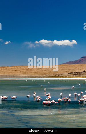 Die atemberaubende Landschaft zwischen San Pedro de Quemez und Ojo de Perdiz, Bolivien Stockfoto