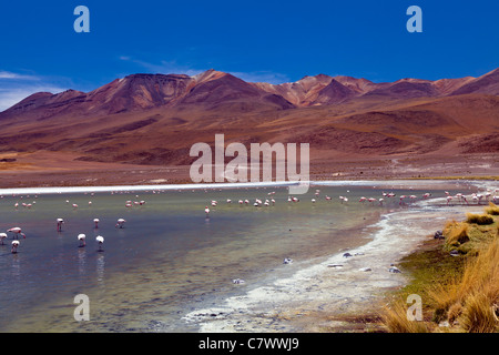 Die atemberaubende Landschaft zwischen San Pedro de Quemez und Ojo de Perdiz, Bolivien Stockfoto